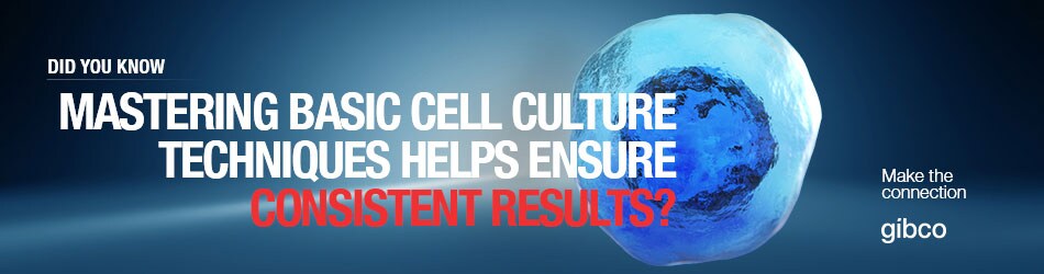 Cell-Culture-Basics-header-image-950x250-v2-no-logo Cell-Culture-Basics-header-image-950x250-v2-no-logo
