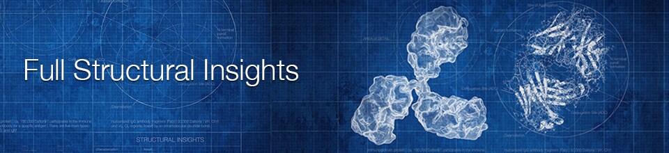 Speak to a Sales Specialist Regarding BioPharmaceutical Protein Characterization Speak to a Sales Specialist Regarding BioPharmaceutical Protein Characterization