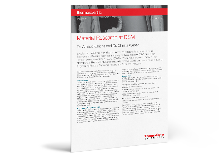 DSM Case Study DSM Case Study