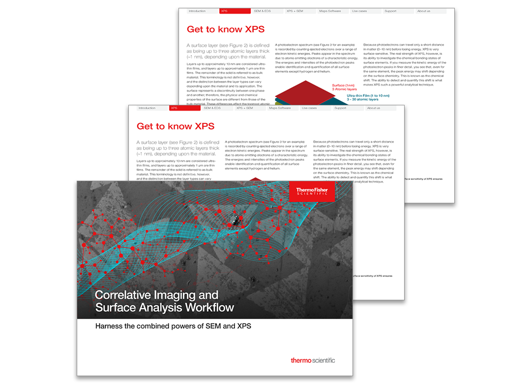 SI-CISA-Gated-page-ebook-875151_1080x780 SI-CISA-Gated-page-ebook-875151_1080x780