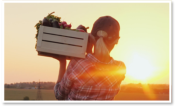 Emerging Trends and Future Directions in Food Testing Webinar Series Emerging Trends and Future Directions in Food Testing Webinar Series