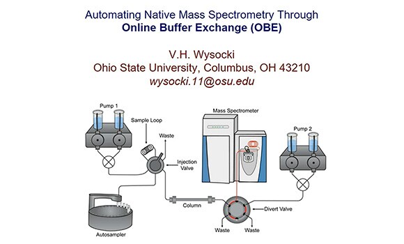 On-demand Webinar: Automating Native Mass Spectrometry through Online Buffer Exchange (OBE) On-demand Webinar: Automating Native Mass Spectrometry through Online Buffer Exchange (OBE)