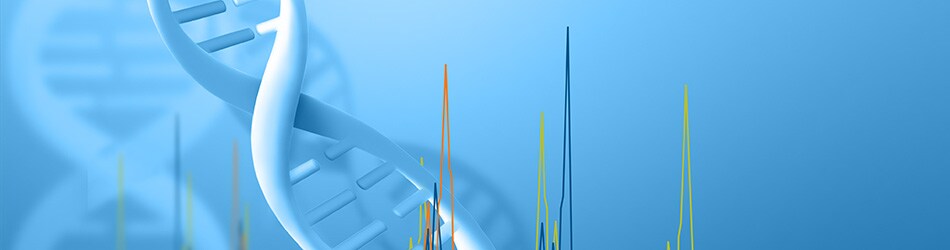 COL34680-cover2-950x250 COL34680-cover2-950x250