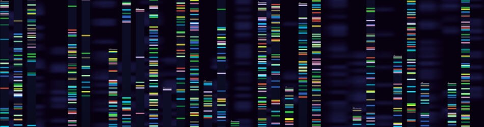 fragment-analysis-guide-header-image fragment-analysis-guide-header-image