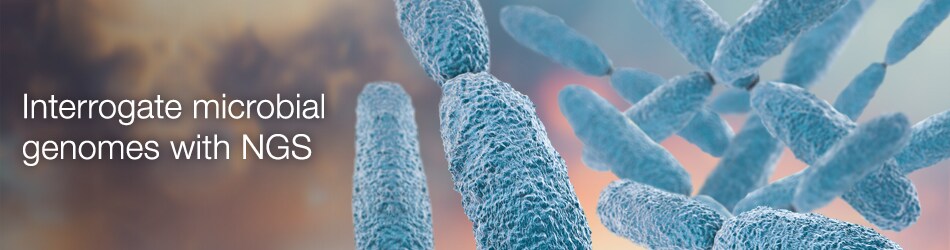 Interrogate microbial genomes with NGS Interrogate microbial genomes with NGS
