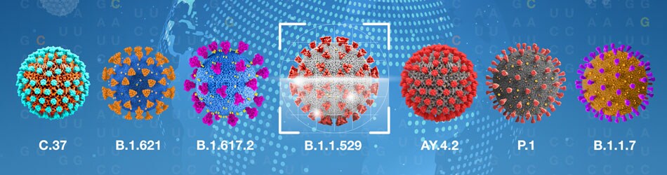 COL018125-GTS-EXP-RUSH-eT1-TaqMan-Mutation-Panel-V4-Graphic-Omicron-no_Text-950x250 COL018125-GTS-EXP-RUSH-eT1-TaqMan-Mutation-Panel-V4-Graphic-Omicron-no_Text-950x250