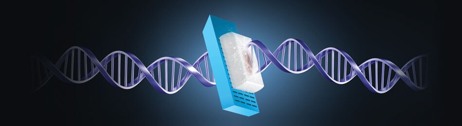 WF22278-header WF22278-header