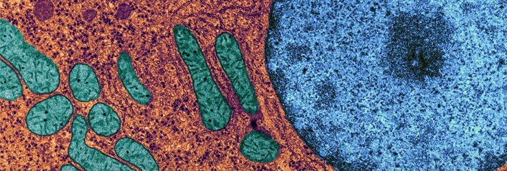 request-info-adme-hero-banner request-info-adme-hero-banner