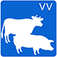 VeriVetSoftware-icon VeriVetSoftware-icon