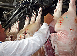 meat-inspector meat-inspector