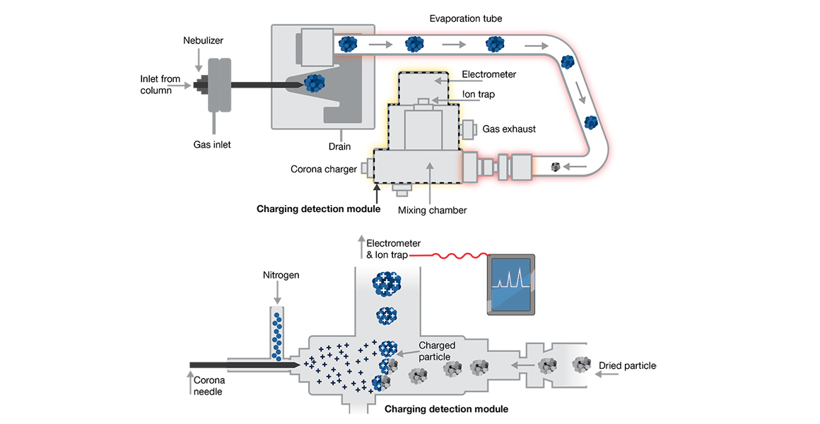 HPLC Vanquish CAD detection flow system HPLC Vanquish CAD detection flow system