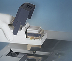 Gas Chromatorgraphy solutions, parts, and accessories to maximize your lab's analysis. Gas Chromatorgraphy solutions, parts, and accessories to maximize your lab's analysis.