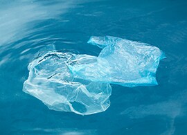 Webinar: Microplastics in Limnic Ecosystems Webinar: Microplastics in Limnic Ecosystems