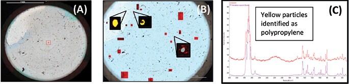 Filter-captured microplastics from ocean water Filter-captured microplastics from ocean water