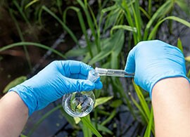 Microplastics analytical problem Microplastics analytical problem