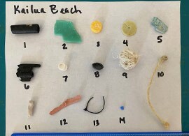 Interview with Jennifer Lynch, PhD Interview with Jennifer Lynch, PhD