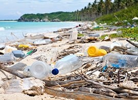 Microplastics in the environment Microplastics in the environment