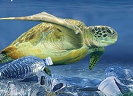 Global Microplastics Symposium Global Microplastics Symposium