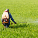 subtopic-pesticides-svocs-125x125 subtopic-pesticides-svocs-125x125