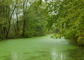 Emerging contaminants Emerging contaminants