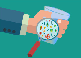 Organic contaminant analysis Organic contaminant analysis