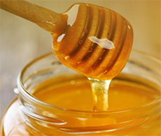 Honey Honey