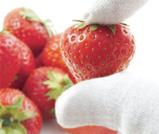 Pesticide Residues Testing Information Pesticide Residues Testing Information