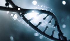 Making Food Safer According to ISO Methods Making Food Safer According to ISO Methods