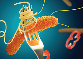 Find the products and protocols for your food microbiology Salmonella testing Find the products and protocols for your food microbiology Salmonella testing