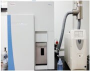 trace-element-pic-6 trace-element-pic-6