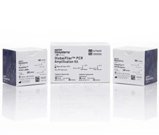 globalfiler-kits-image-230x195 globalfiler-kits-image-230x195