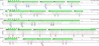 GF-SS-007-1ng GF-SS-007-1ng