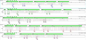 GF-3500-007-1ng GF-3500-007-1ng