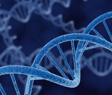 quantstudio-5-real-time-pcr-system-human-identification-software-showcase-image-230x195 quantstudio-5-real-time-pcr-system-human-identification-software-showcase-image-230x195