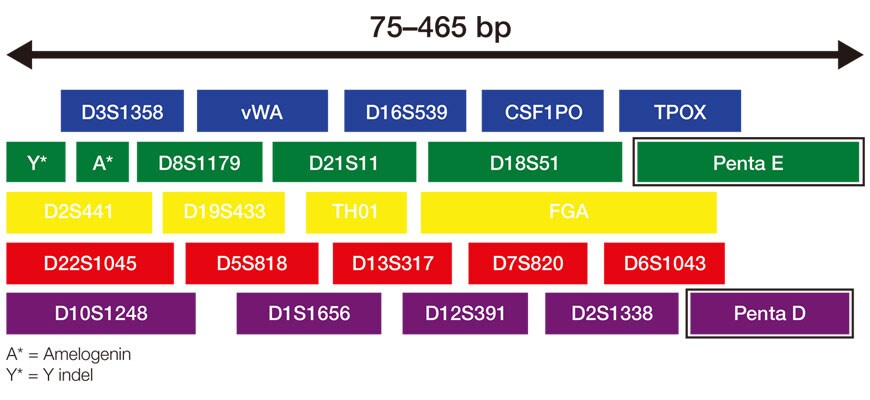 PG1838-PJT3407-COL08483-Update-DNA-Analysis-Image-Global-FHR-VFEsizes PG1838-PJT3407-COL08483-Update-DNA-Analysis-Image-Global-FHR-VFEsizes