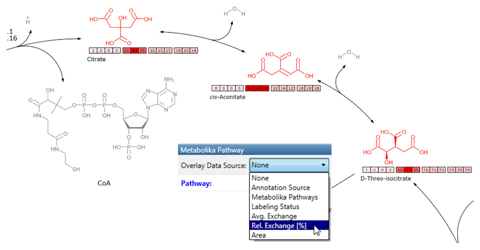 Example of Metabolika pathways analysis tool with flux analysis data included Example of Metabolika pathways analysis tool with flux analysis data included