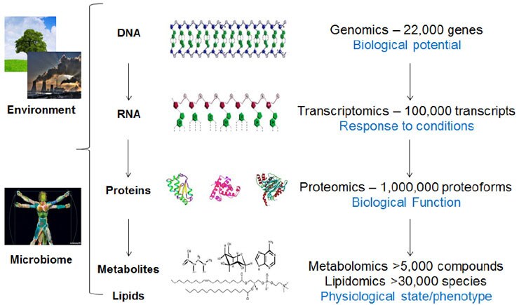 Metabolomics Analysis: Profiling Metabolomics Analysis: Profiling