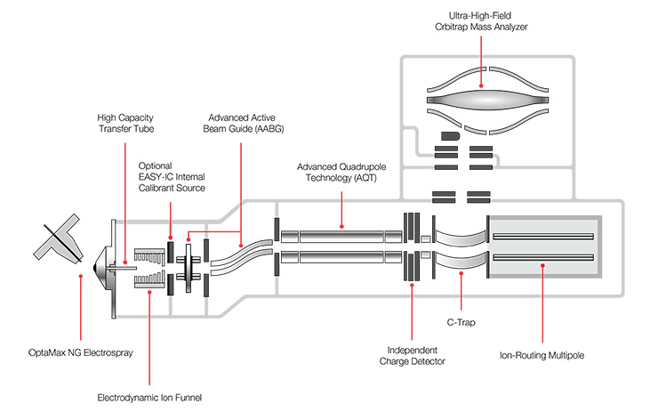 Why are fragmentation techniques important in mass spectrometry (MS)? Why are fragmentation techniques important in mass spectrometry (MS)?