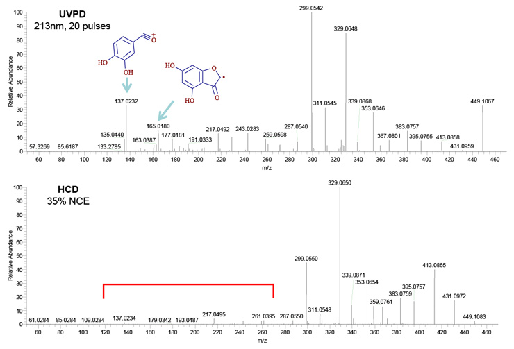 Figure 4. Fragmentation of luteolin 8-C-glycoside (Orientin) by UVPD and HCD produces more complete mass spectra and unique compound fragmentations. Figure 4. Fragmentation of luteolin 8-C-glycoside (Orientin) by UVPD and HCD produces more complete mass spectra and unique compound fragmentations.