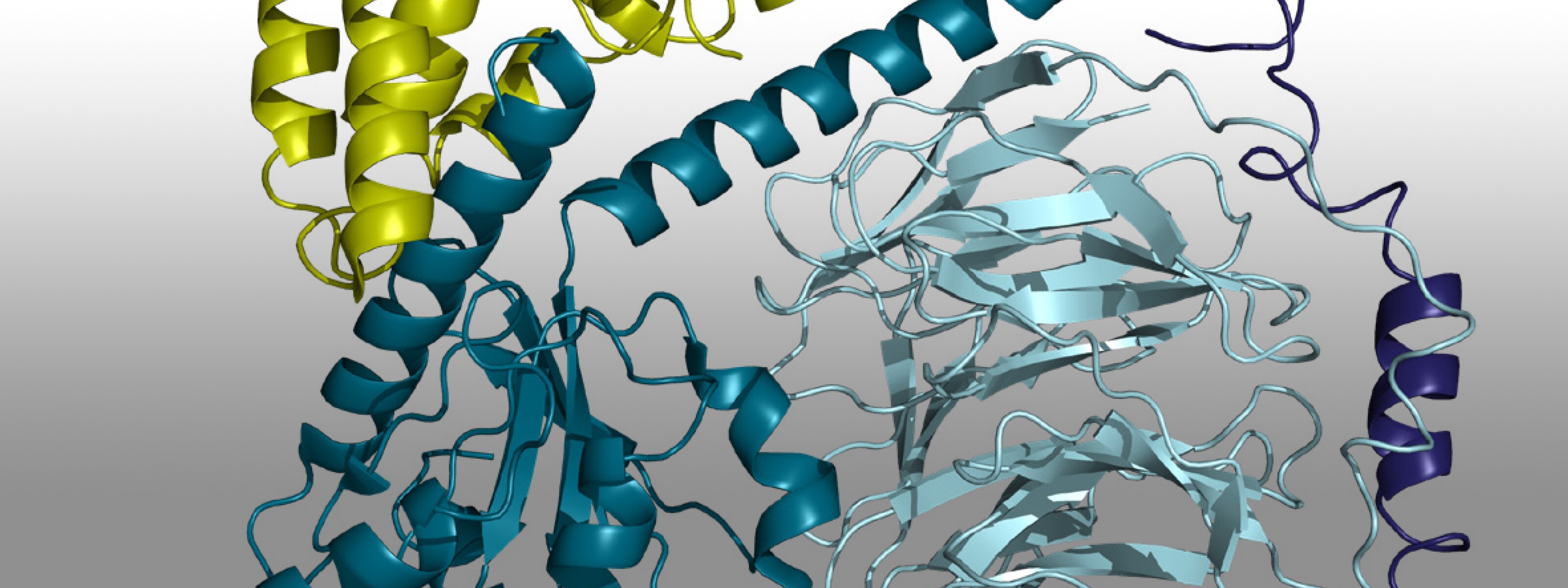 Integrative structural biology Integrative structural biology