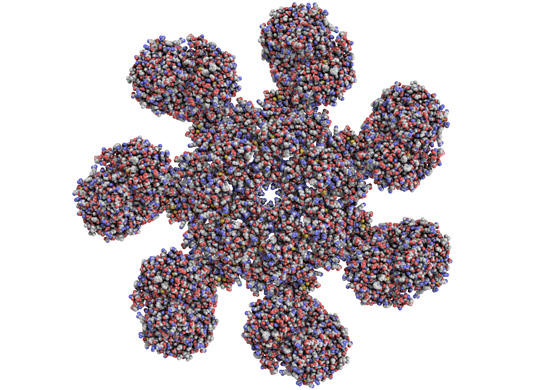 Protein Structure Analysis Using Mass Spectrometry Protein Structure Analysis Using Mass Spectrometry