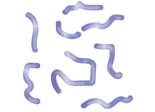 Peptide Sequencing Peptide Sequencing