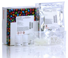 High-Select Phosphopeptide Enrichment Kits High-Select Phosphopeptide Enrichment Kits