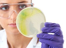 Dehydrated Culture Media (DCM) Products Dehydrated Culture Media (DCM) Products