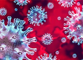 Sample. Identify. Test. Sample. Identify. Test.