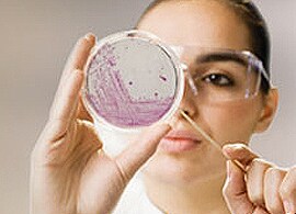 Prepared Culture Media Prepared Culture Media