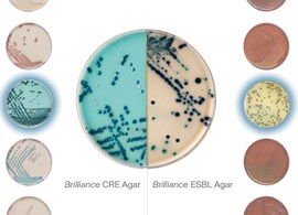 Custom bi-plate workflow Custom bi-plate workflow