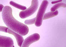 Culture microbiology reviews Culture microbiology reviews
