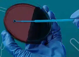 Quality Control for AST Quality Control for AST