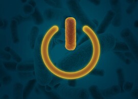 Power up your Salmonella screening Power up your Salmonella screening